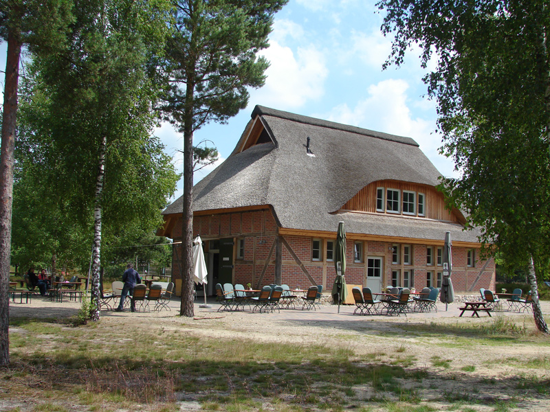 Das Nemitzer Heidehaus mit Reetdach gedeckt zwischen Kiefernbäumen mit Sitzgelegenheiten unter Sonnenschirmen an einem sonnigen Tag mit blauem Himmel. Nur wenige Kilometer entfernt vom Ferien- und Bauernhof Gauster