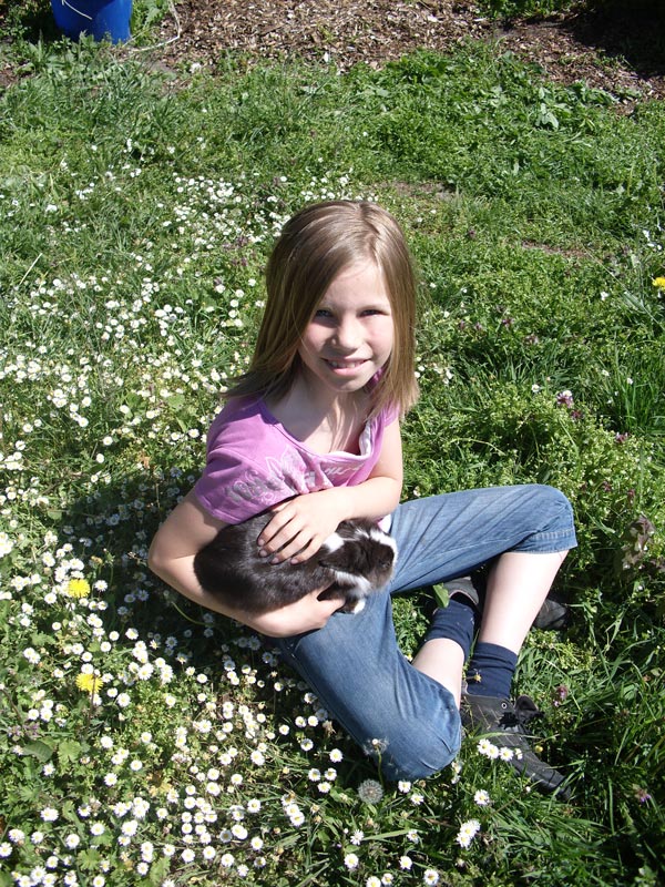 Ein Kind sitz auf einer Wiese mit Gänseblümchen auf dem Bauernhof Gauster in Marleben. Es hält ein Kaninchen in den Armen.
